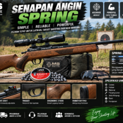 Senapan Angin Spring