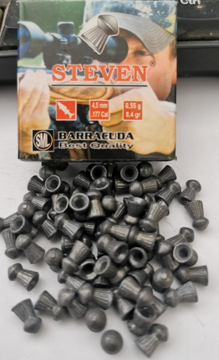 Steven Baracuda - Gambar 4